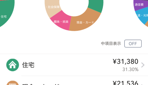 【コツコツ返済】家計簿記録と借金100万の返済/2026年1月〜4月