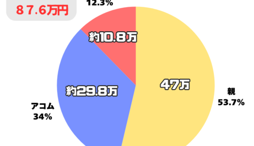 【借金100万返済】フリーターの家計簿記録と返済状況/2026年5月【残り88万】